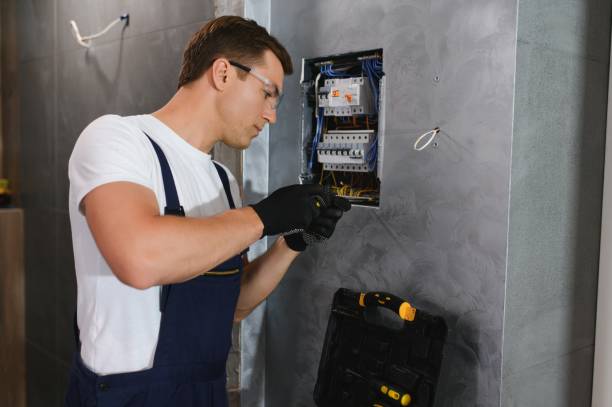Best Electric Panel Repair  in Menomonee Falls, WI